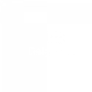 belgem.de_logo2_white